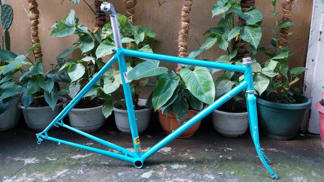 panasonic frame bike
