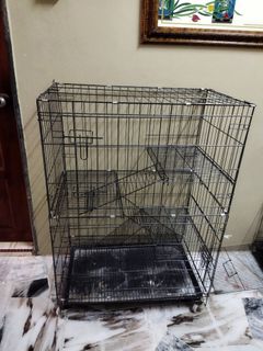 (Category: ) located in . Submitted by syam_75 (Listing ID 1174134603, Image 1). Description: .