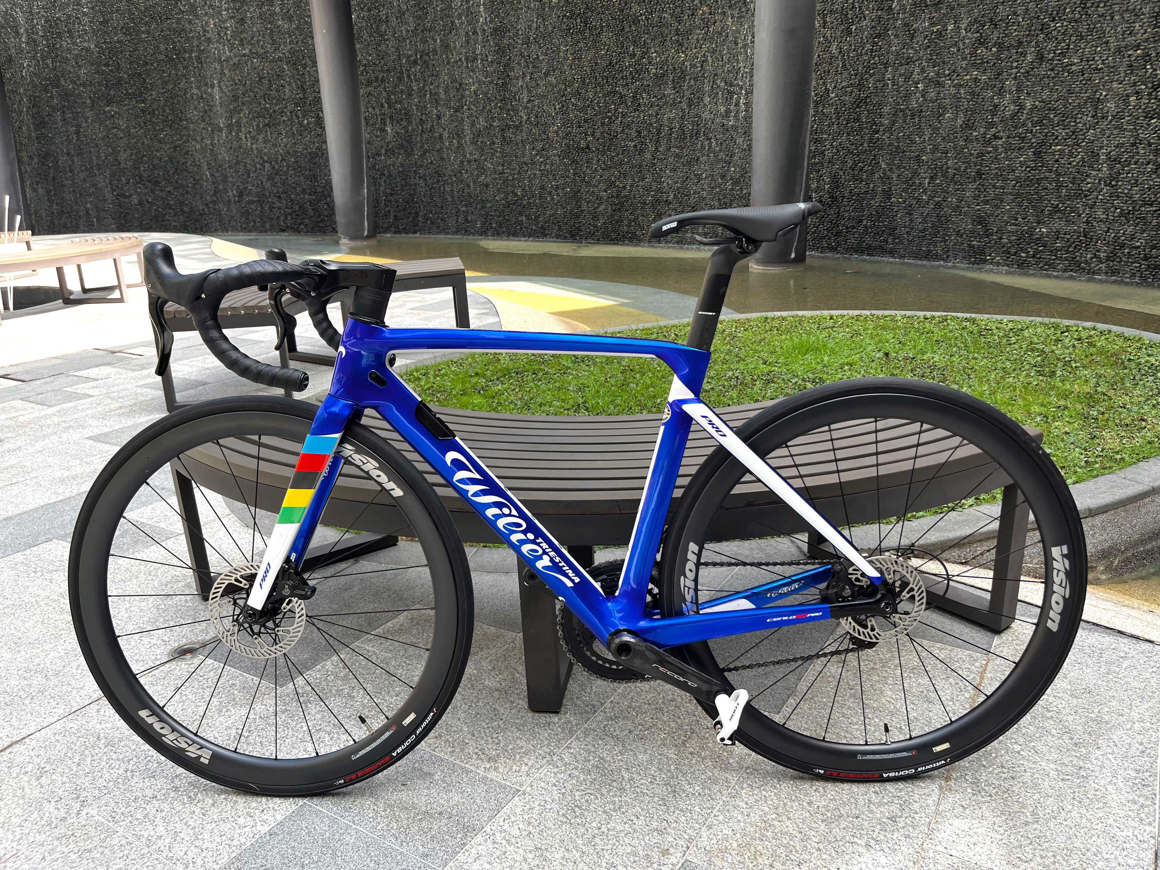 Wilier cento 10 online pro frameset