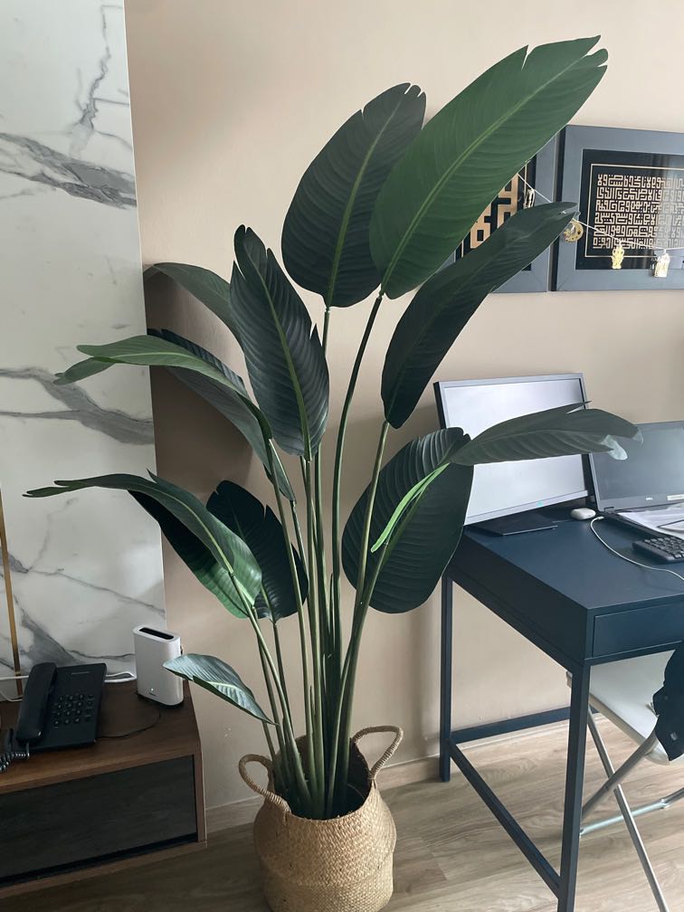 Banana tree faux plant, Furniture & Home Living, Home Decor, Vases