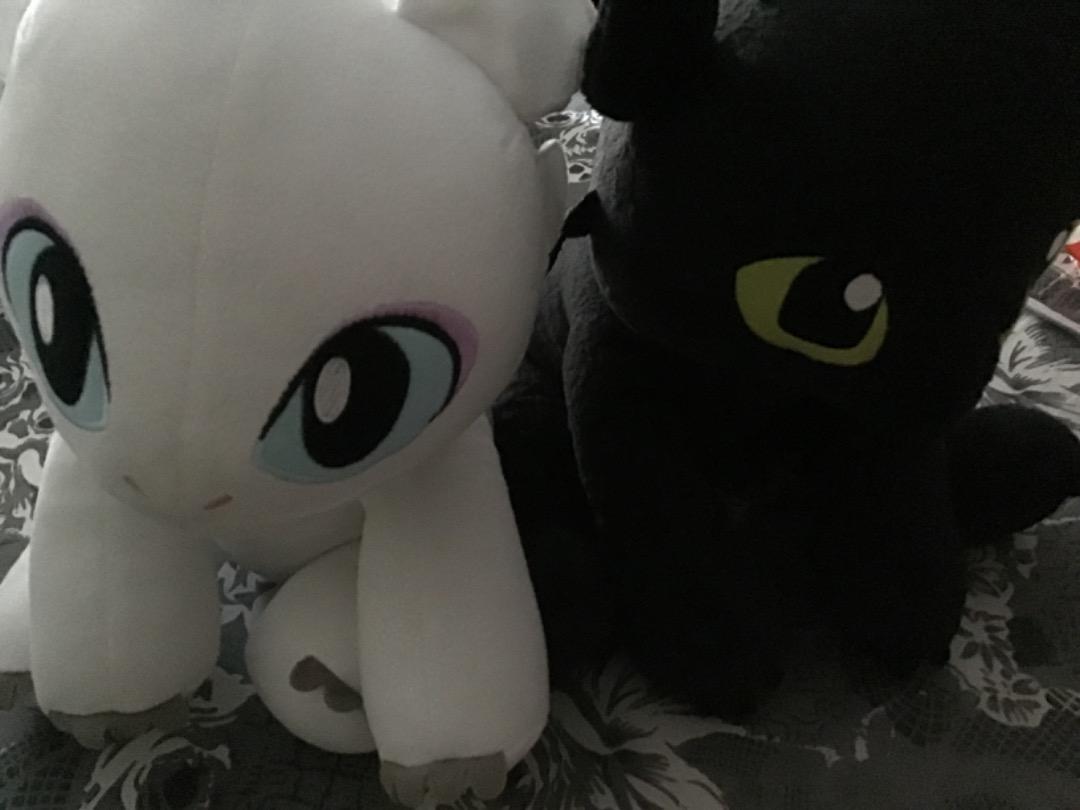 Build a Bear Light Fury and Toothless Toys Games Others on