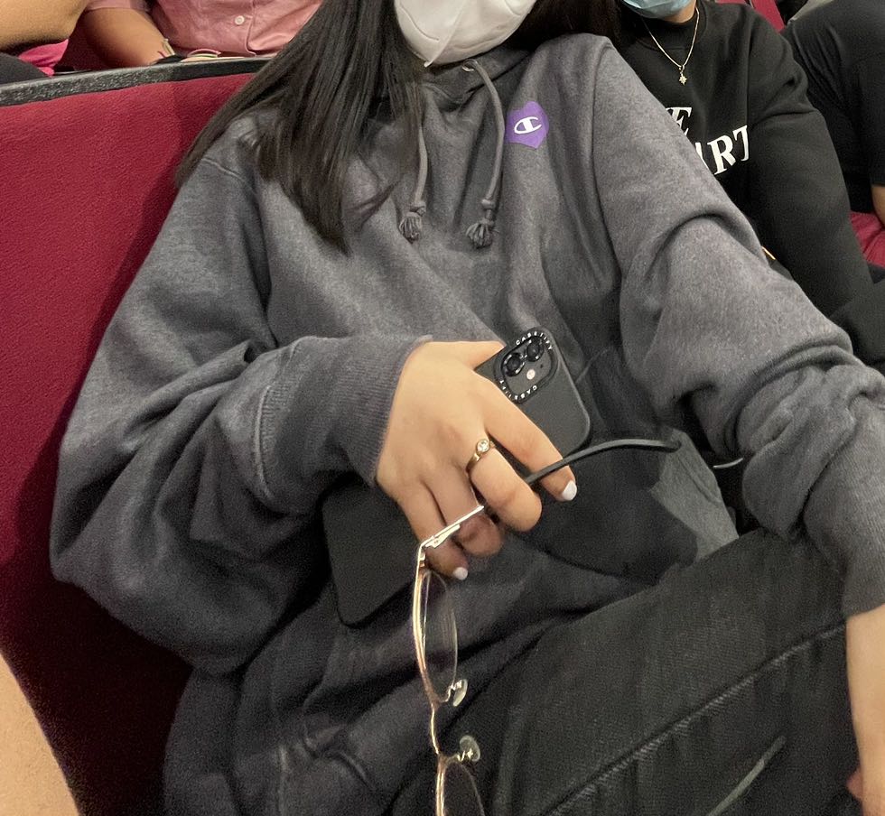 gray champion hoodie