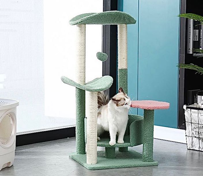 Clearance cat furniture sale
