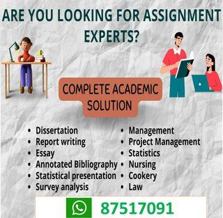'Essay/assignment service / Coursework / Literature review /Reports