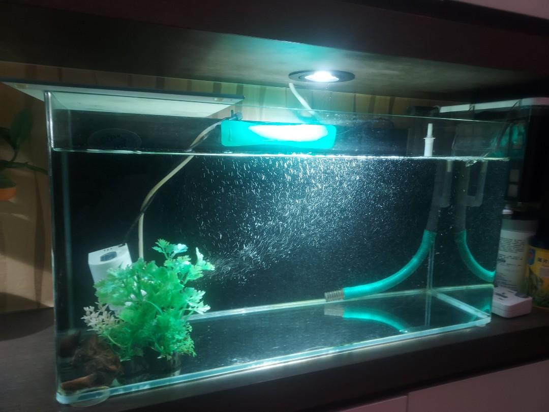 Fish Tank With Filters Uv Light