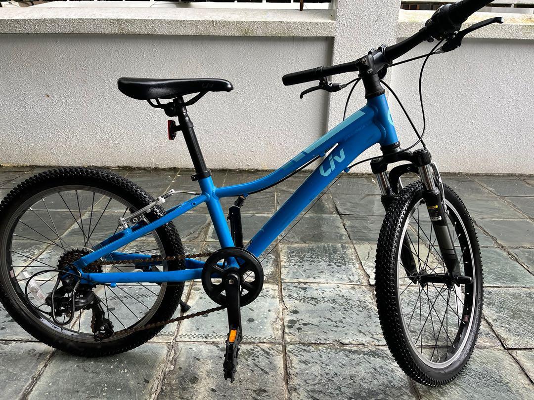 Giant liv bike 20 outlet inch