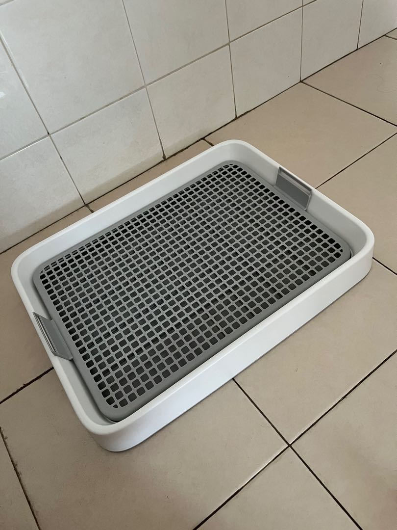 NEW dog pee tray (unused), Pet Supplies, Homes & Other Pet Accessories