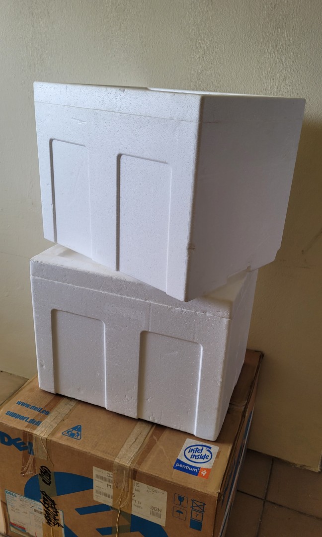 Styrofoam boxes with lids, Everything Else on Carousell