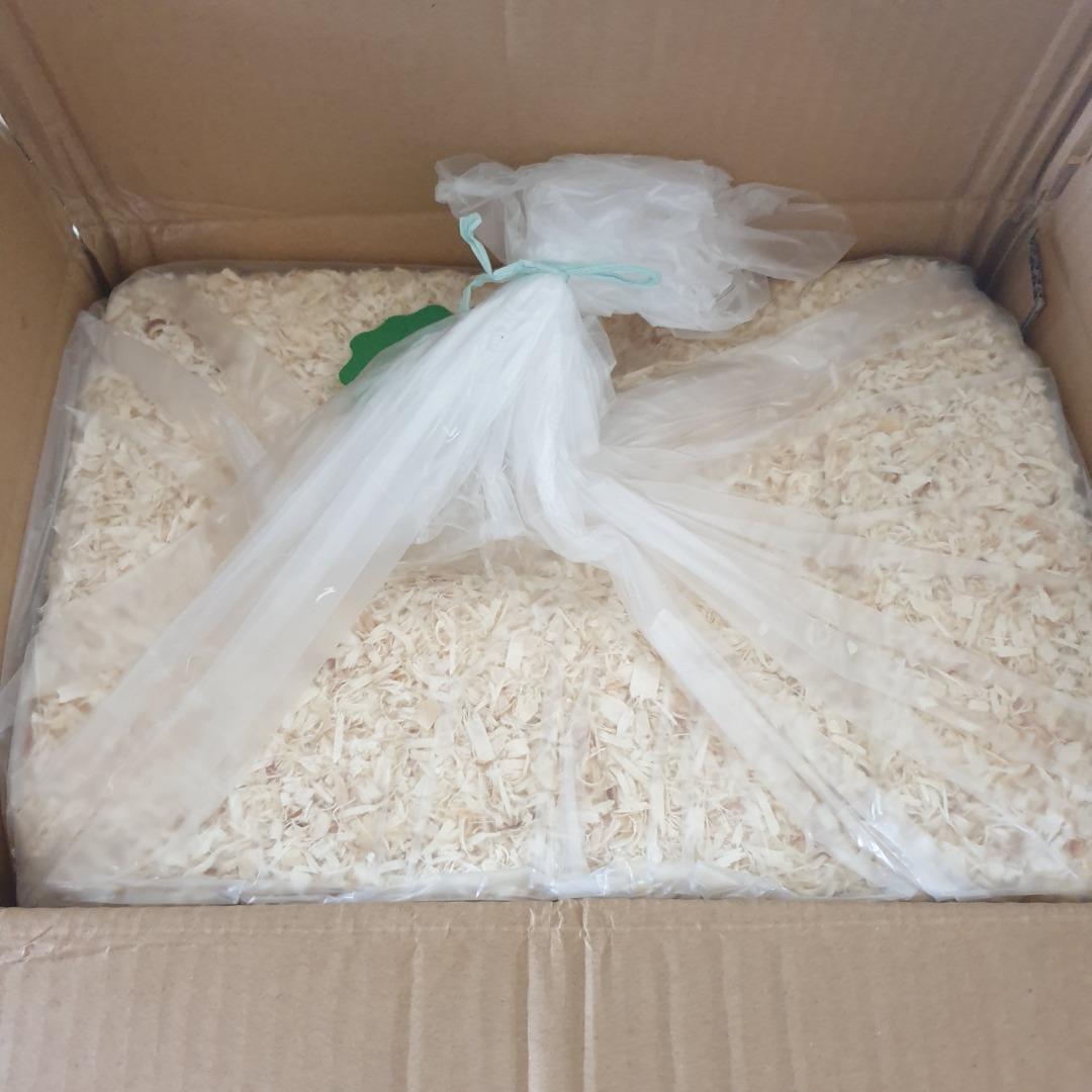 Aspen for hamsters Clearance