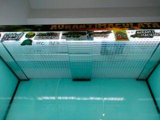 3ft tank