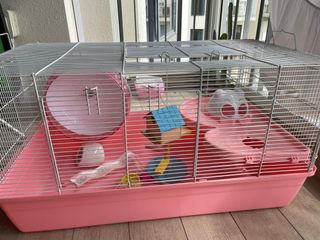 (Category: ) located in . Submitted by moomoolemon (Listing ID 1174525261, Image 1). Description: .