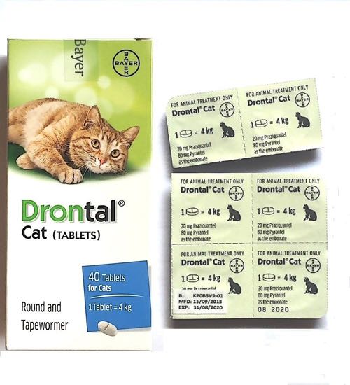 Bayer Drontal Cat Dewormer Tablet, Pet Supplies, Health & Grooming on