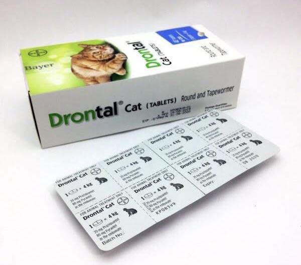 Bayer Drontal Cat Dewormer Tablet, Pet Supplies, Health & Grooming on