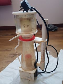 (Category: ) located in . Submitted by reefing (Listing ID 1174518086, Image 1). Description: .