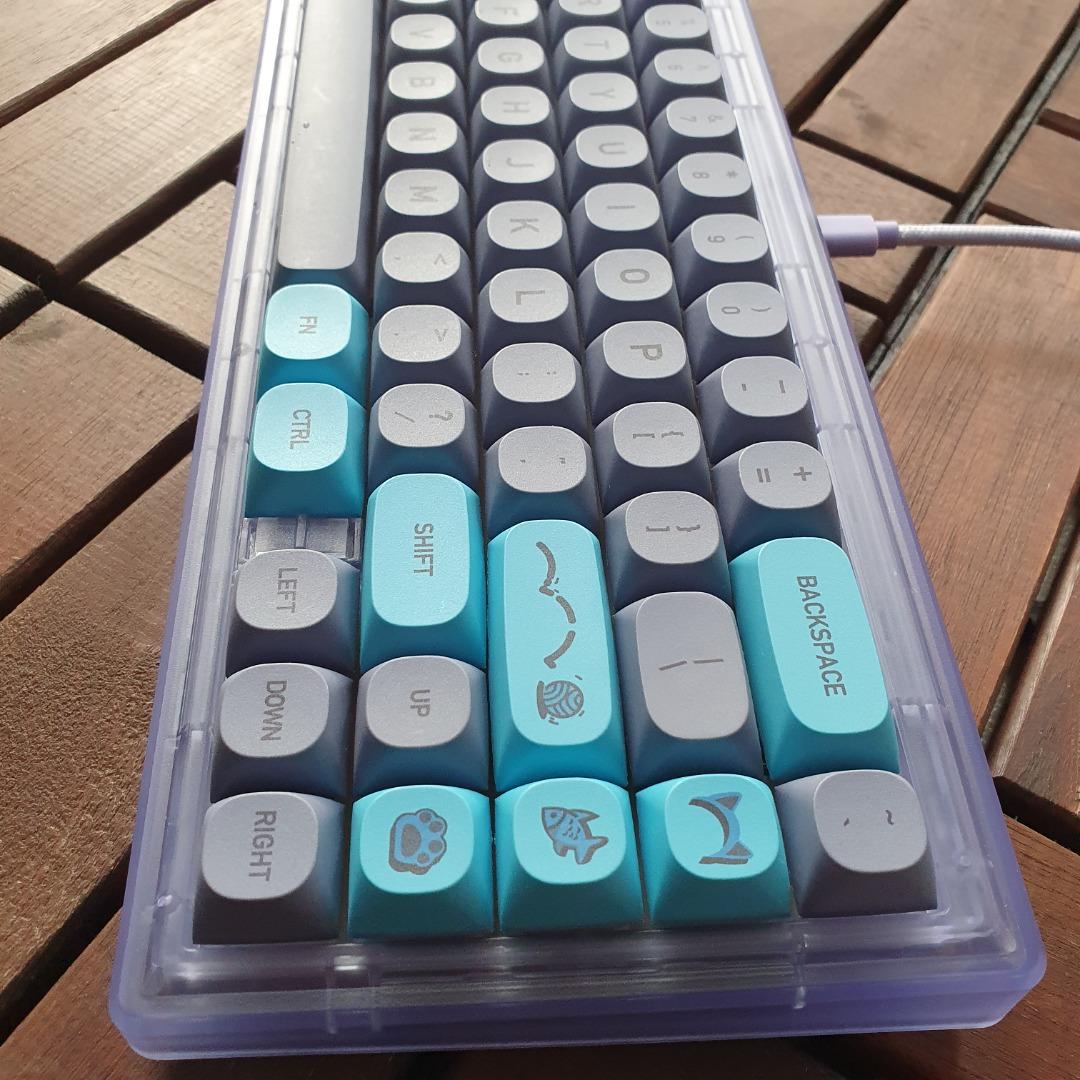 Built CIY GAS67 Custom Gasketmounted mechanical keyboard ASSEMBLED