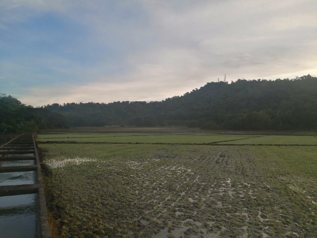 FARM LOT FOR SALE Calintaan, Occ. Mindoro, Property, For Sale, Lot on