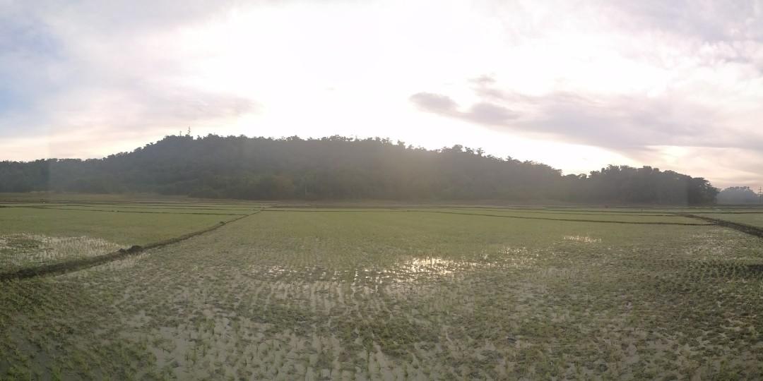 FARM LOT FOR SALE Calintaan, Occ. Mindoro, Property, For Sale, Lot on