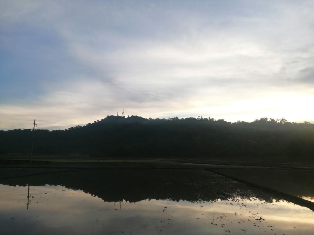 FARM LOT FOR SALE Calintaan, Occ. Mindoro, Property, For Sale, Lot on