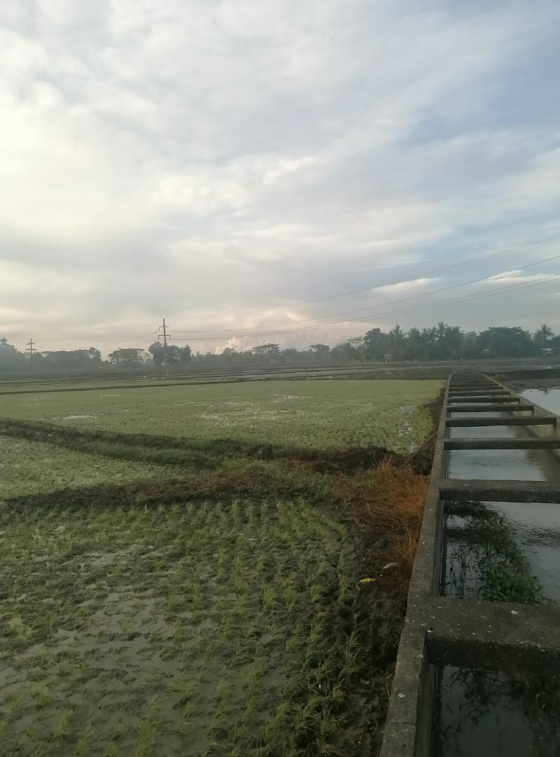 FARM LOT FOR SALE Calintaan, Occ. Mindoro, Property, For Sale, Lot on