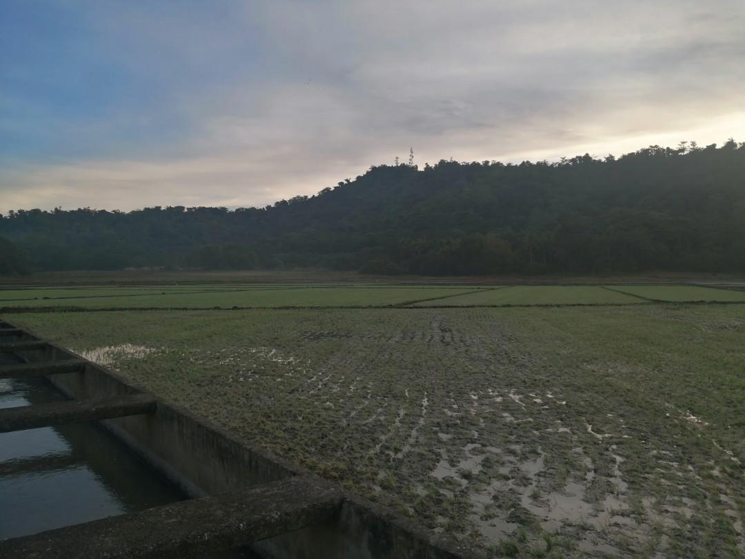 FARM LOT FOR SALE Calintaan, Occ. Mindoro, Property, For Sale, Lot on