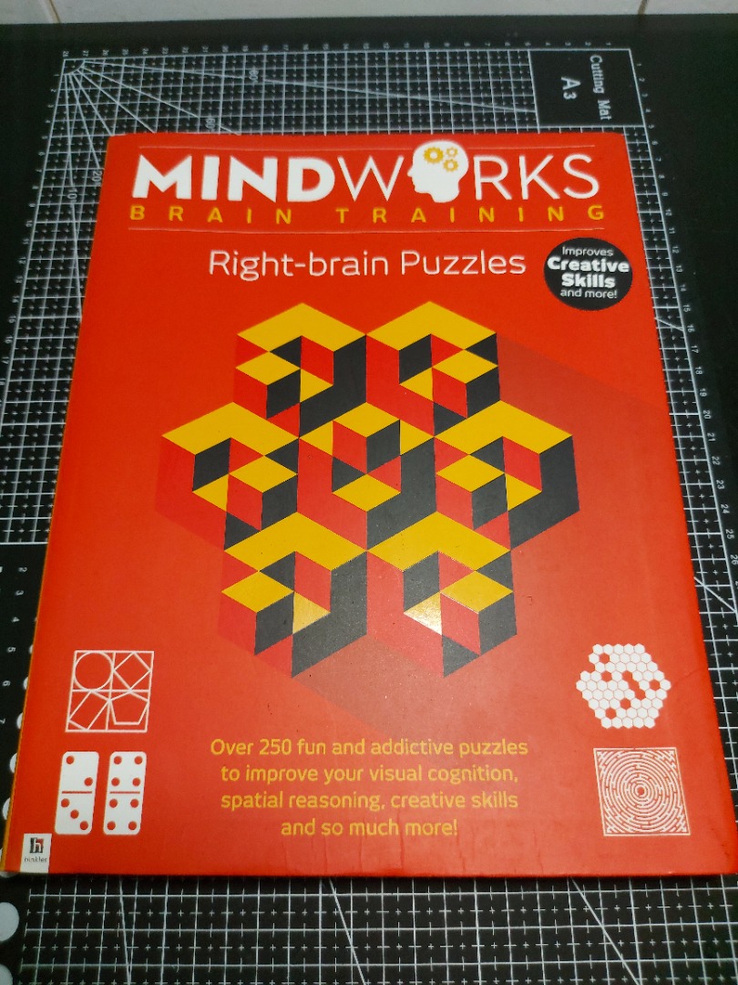 Mindworks Brain Training RightBrain Puzzles, Hobbies & Toys, Books