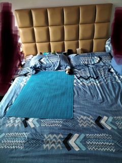 (Category: ) located in . Submitted by Benacondae (Listing ID 1174627484, Image 1). Description: .