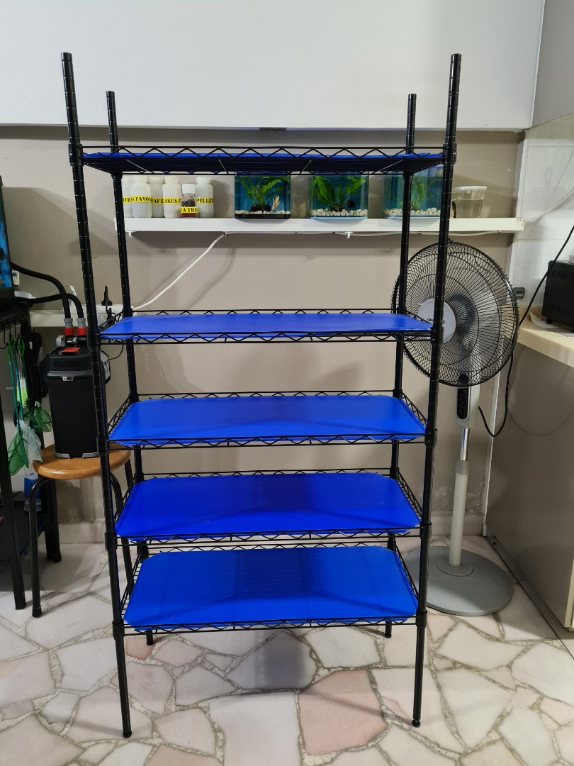 Rack for Betta Fish/Books/Kitchen Items, Furniture & Home Living ...
