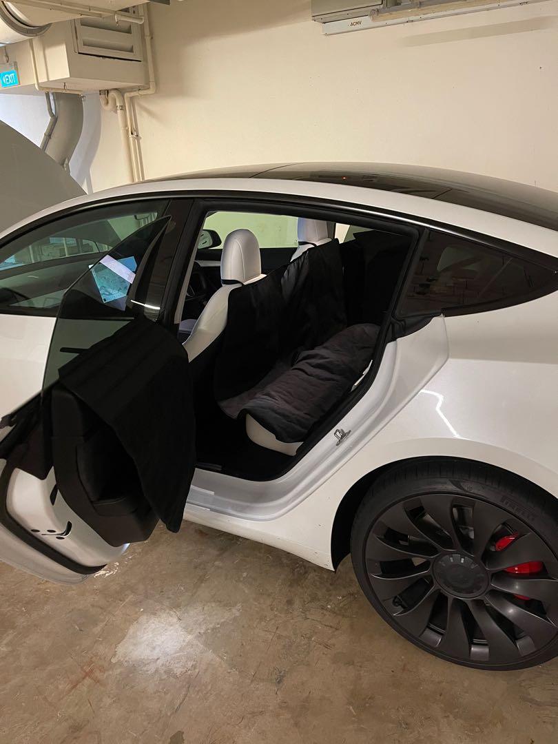 Tesla Model 3 Y Pet Liner, Car Accessories, Accessories on Carousell