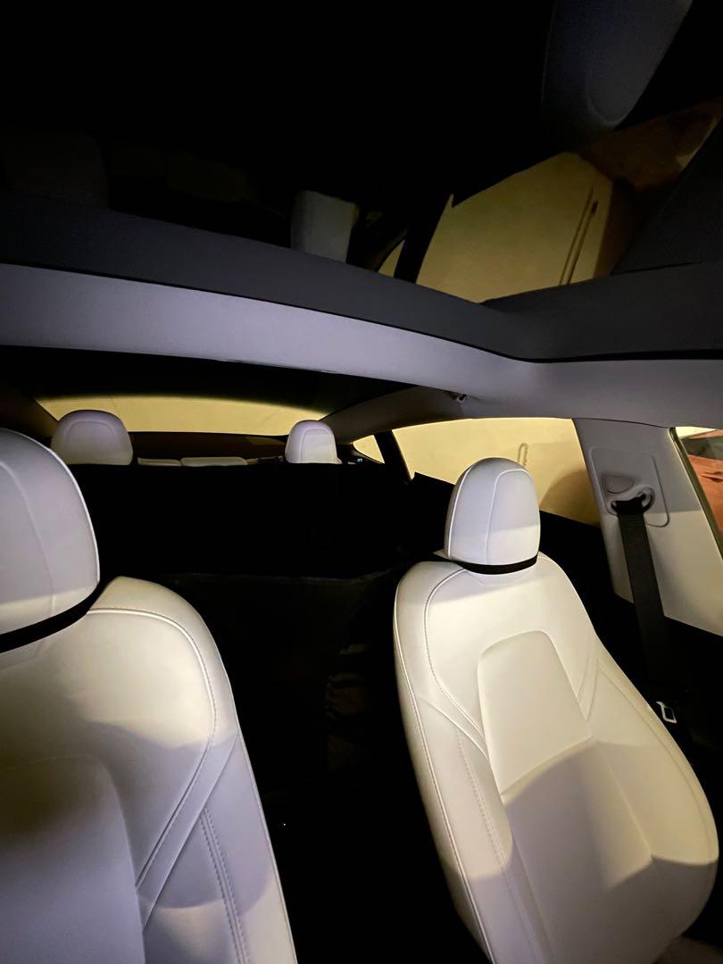 Tesla Model 3 Y Pet Liner, Car Accessories, Accessories on Carousell