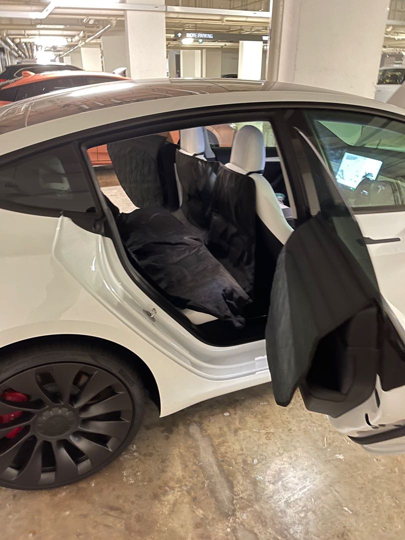 Tesla Model 3 Y Pet Liner, Car Accessories, Accessories on Carousell
