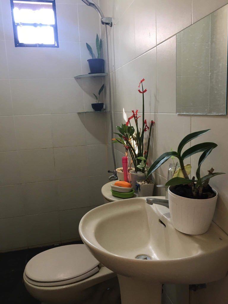 Valenza Crown Asia Sta Rosa Laguna Fully Furnished House for Rent near