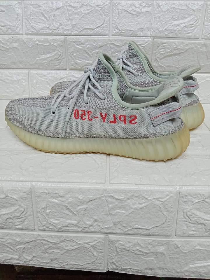 yeezy zebra size 9.5