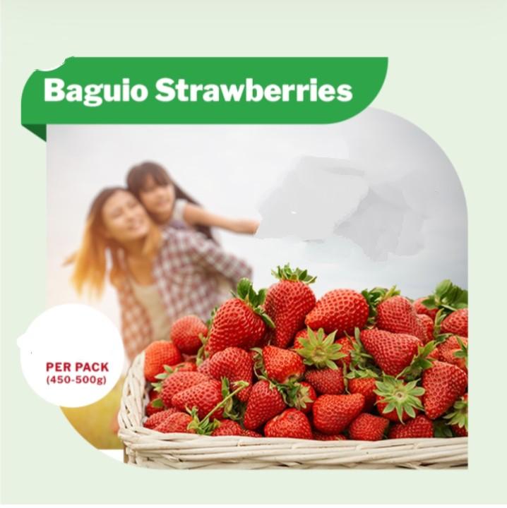 Baguio Strawberries (Category: Fresh Produce) located in Manila. Submitted by virtualtindahanipaul (Listing ID 1174896805, Image 2). Description: 🍓🍓🍓🍓🍓🍓🍓🍓🍓🍓🍓🍓🍓🍓🍓🍓🍓🍓🍓🍓🍓🍓🍓🍓🍓🍓 Indicated price per: 450-500gram pack.