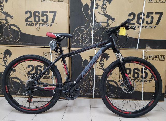 Pacific 5000 mountain bike top