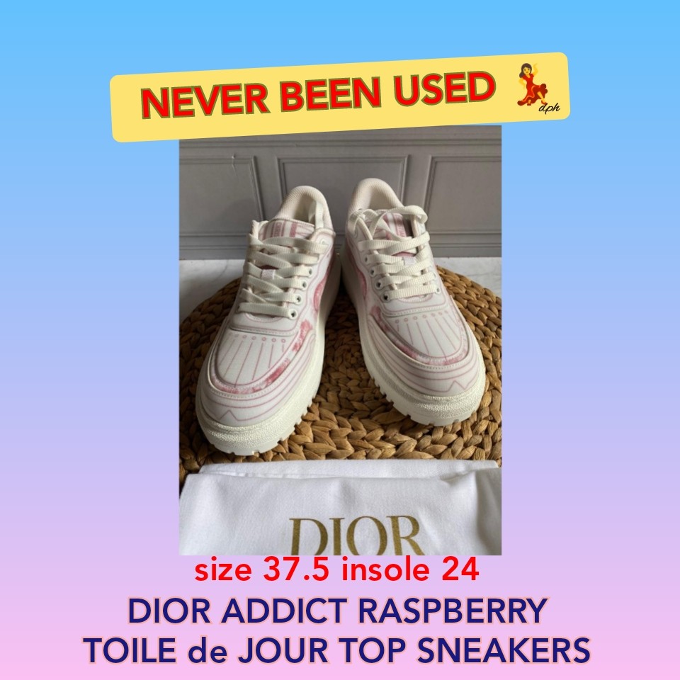 sneaker dior addict