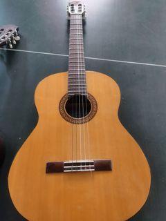Guitar Acoustic C40