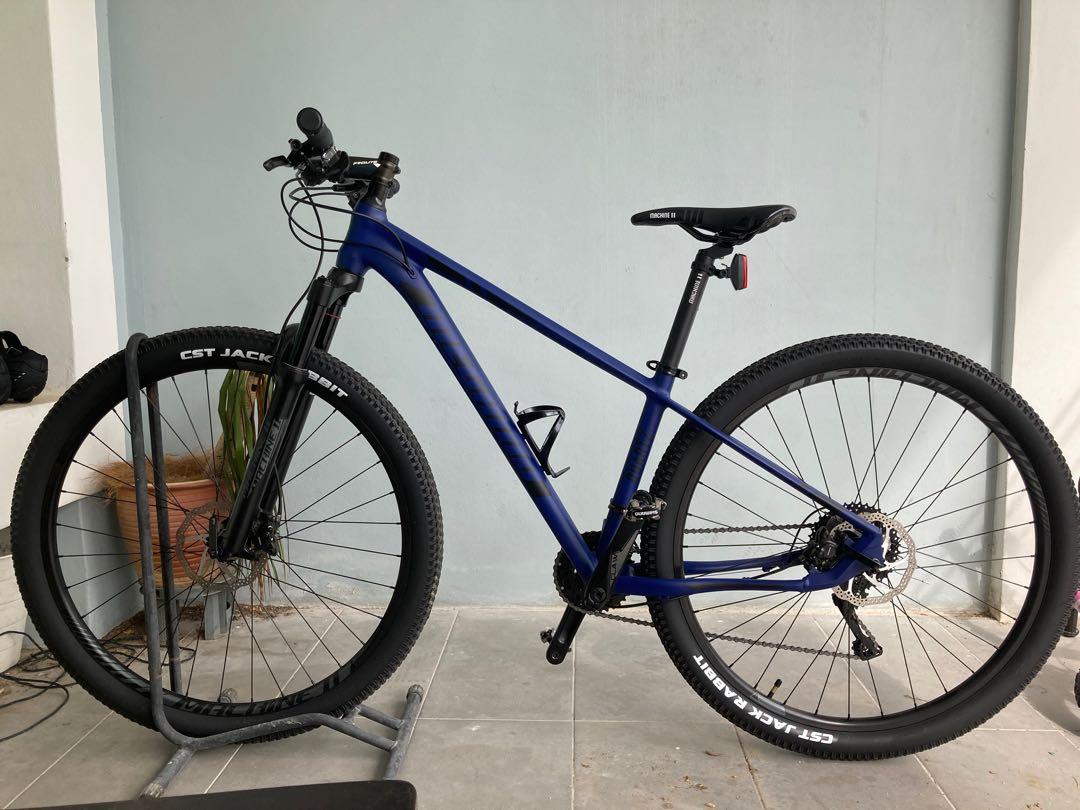 Quartz mountain sales bike