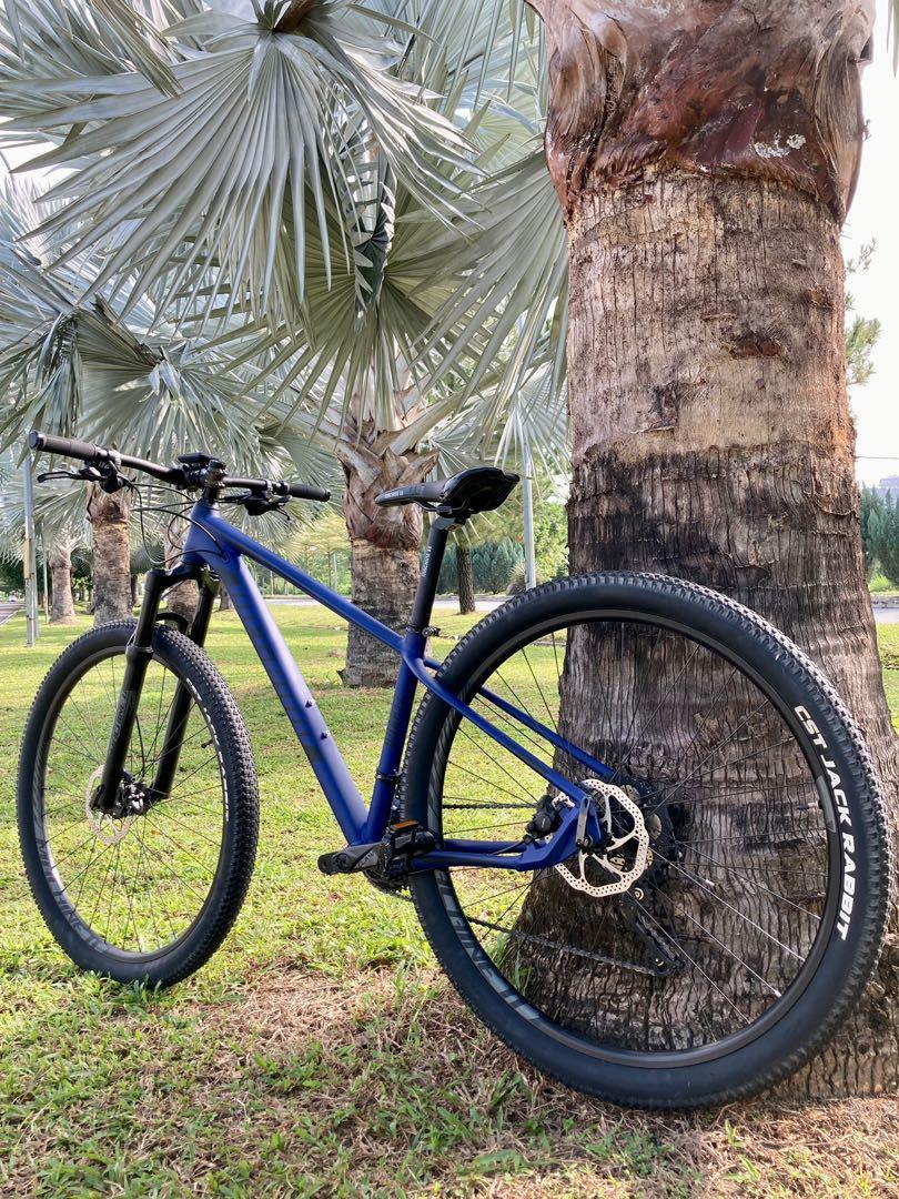 Quartz shop mountain bike
