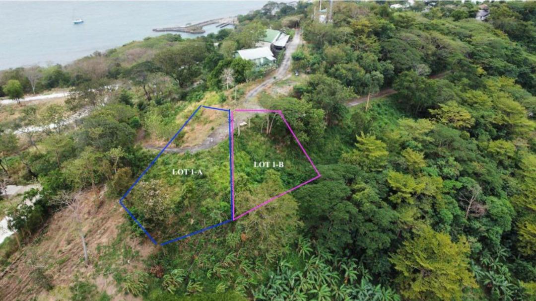 Prime Lots in Nasugbu Batangas Overlooking Tali Beach, Property, For