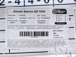 WHOLE SALMON BLUMAR SEAFOODS