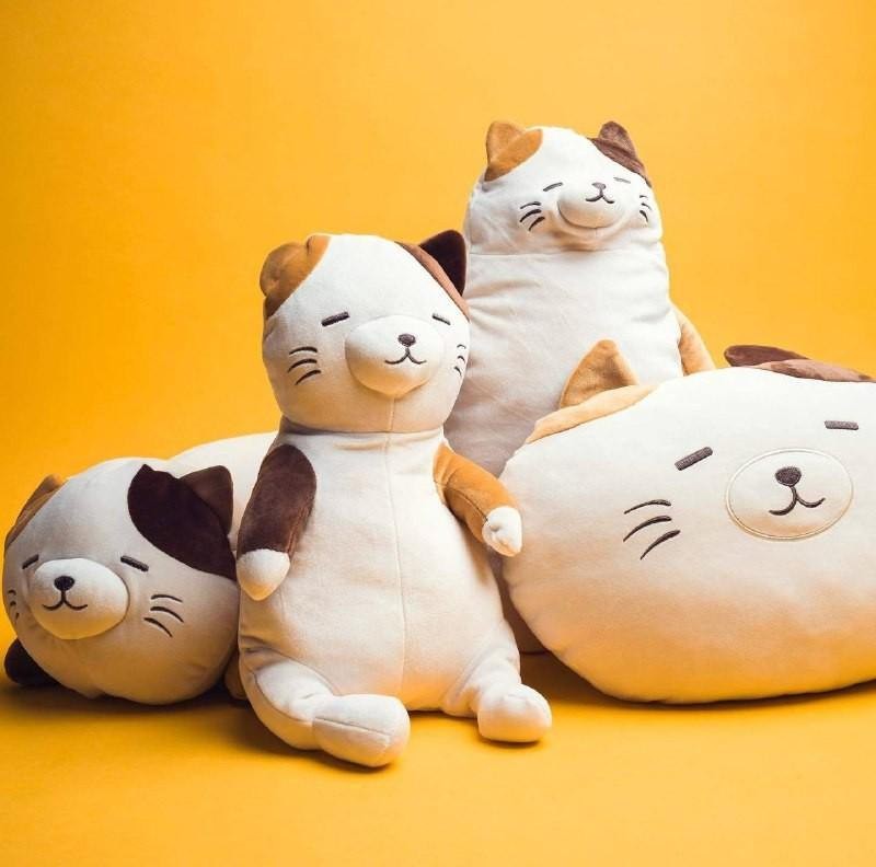 Miniso cat plush hotsell