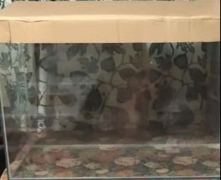 (Category: ) located in . Submitted by laksalormee (Listing ID 1174940347, Image 1). Description: .