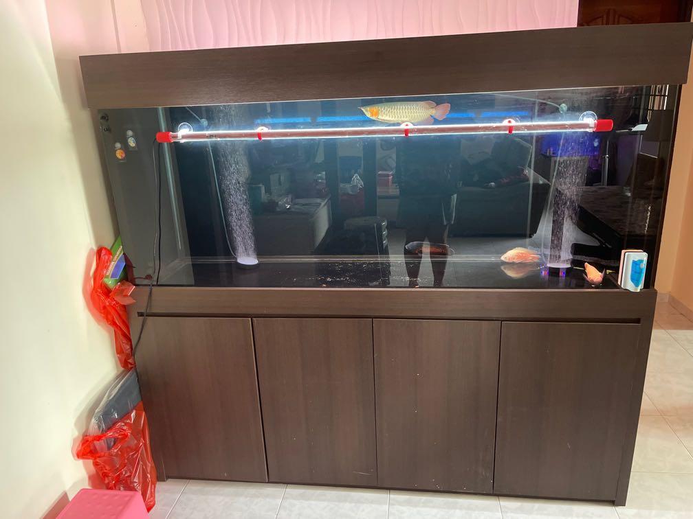 6ft Tank, Pet Supplies, Homes & Other Pet Accessories on Carousell