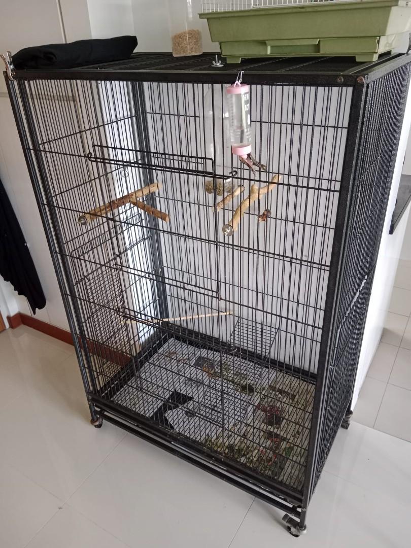 cat cage cost