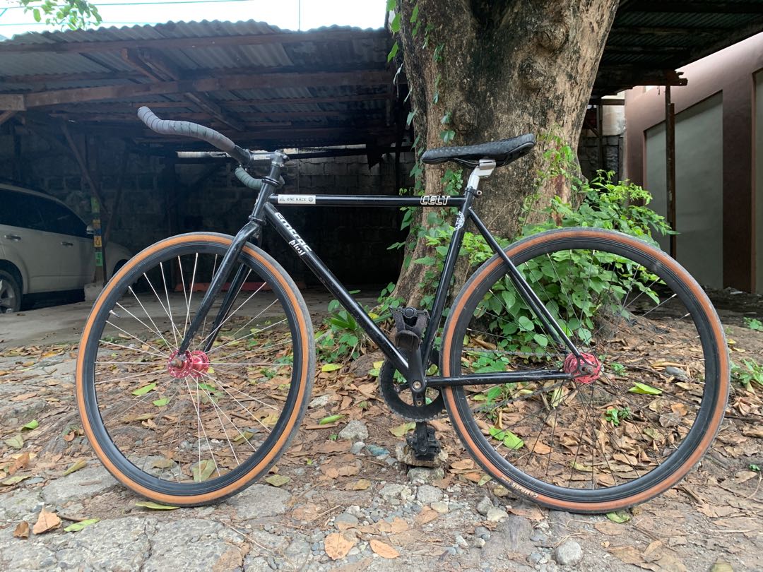 Celt 2k17 shop fixie