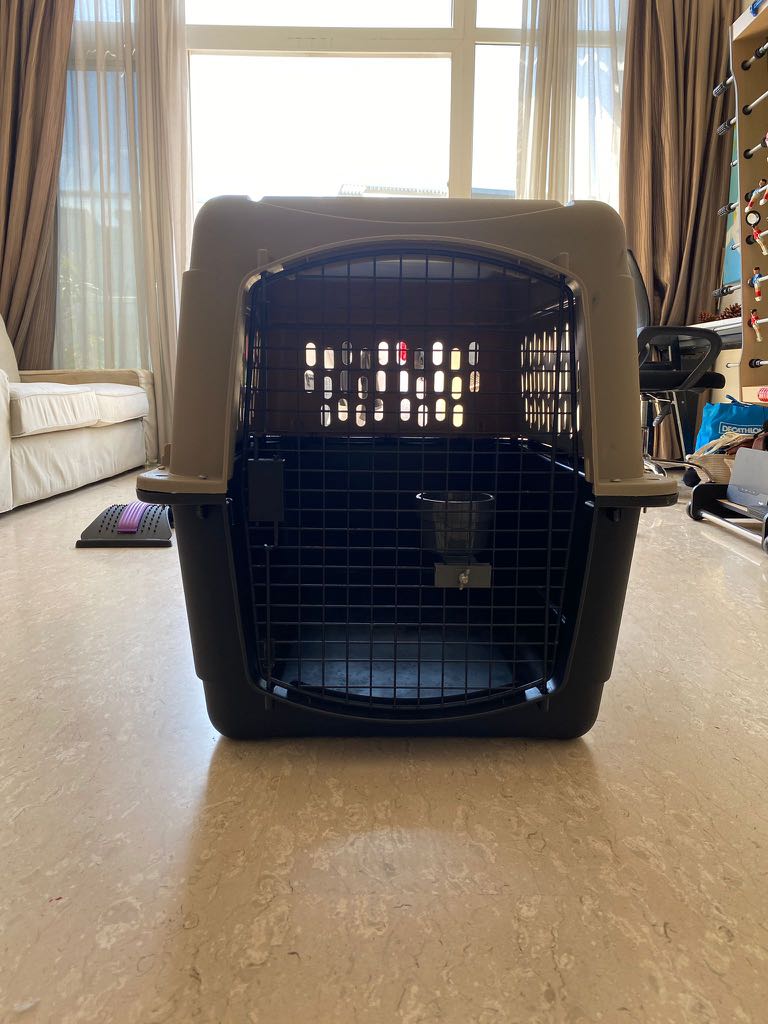 Dog crate (large) IATA standard, Pet Supplies, Homes & Other Pet