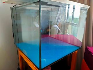 (Category: ) located in . Submitted by raidee1991 (Listing ID 1175089046, Image 1). Description: .