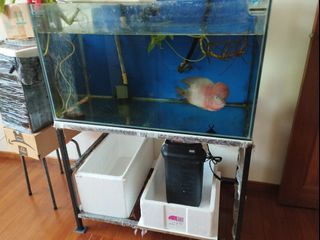 (Category: ) located in . Submitted by mitohouse (Listing ID 1174969602, Image 1). Description: .