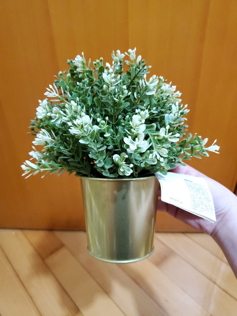 Ikea 綠葉小盆栽人造植物 金色花盆元朗站交收 傢俬 家居 家居裝飾 人工植物盆栽 Carousell