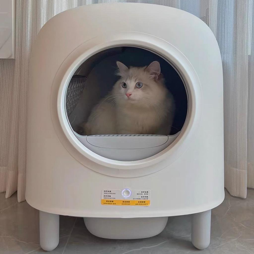 INSTOCK PETREE GEN 2 AUTO CAT LITTER SET B, Pet Supplies, Homes & Other Pet Accessories on Carousell